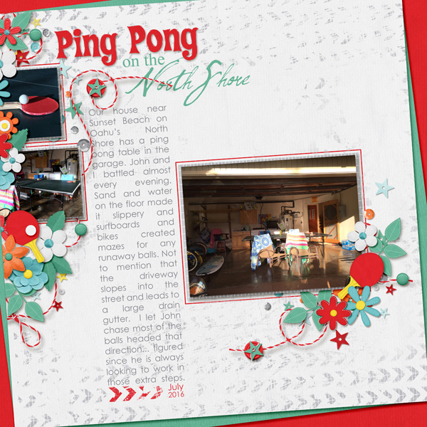 Ping Pong Hawaii