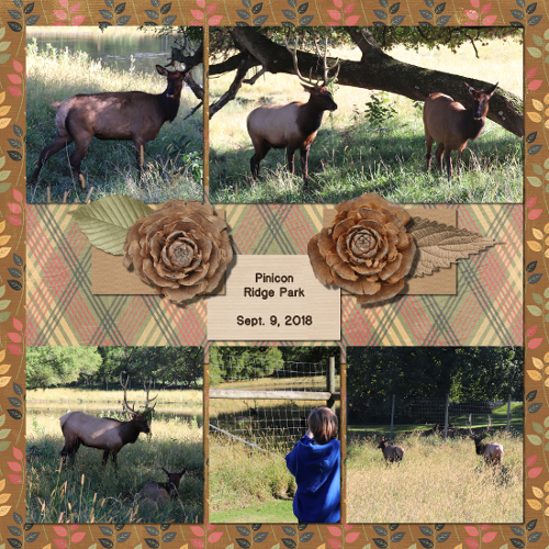 Pinicon Ridge Park September 2018
