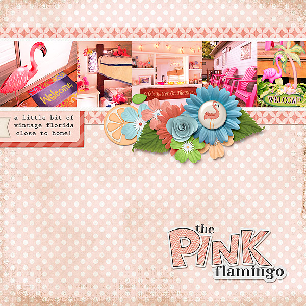 Pink Flamingo