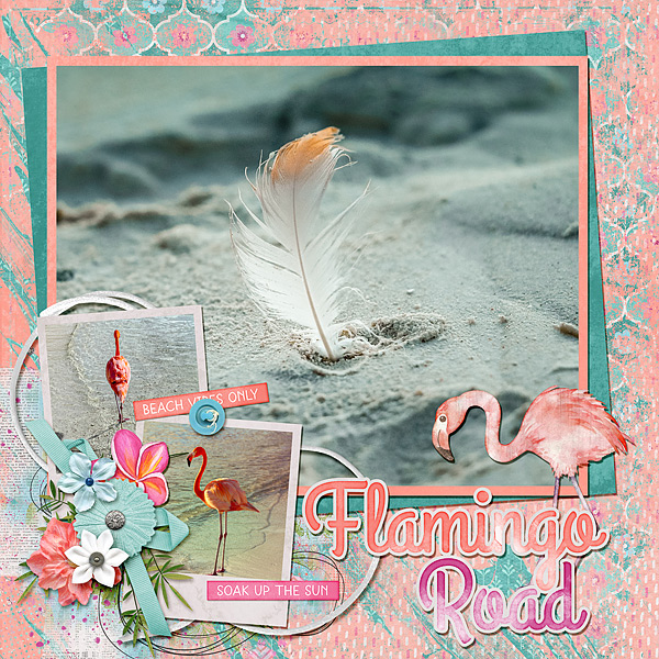 Pink Flamingo