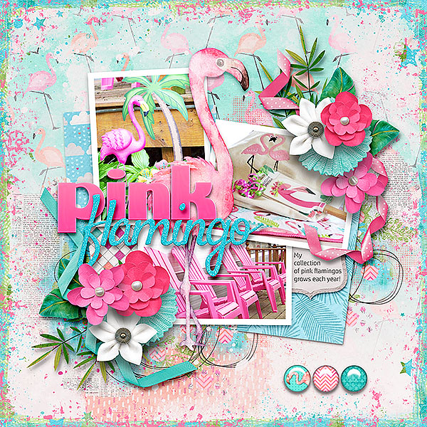 Pink Flamingos