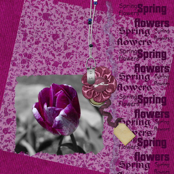 Pink Flower