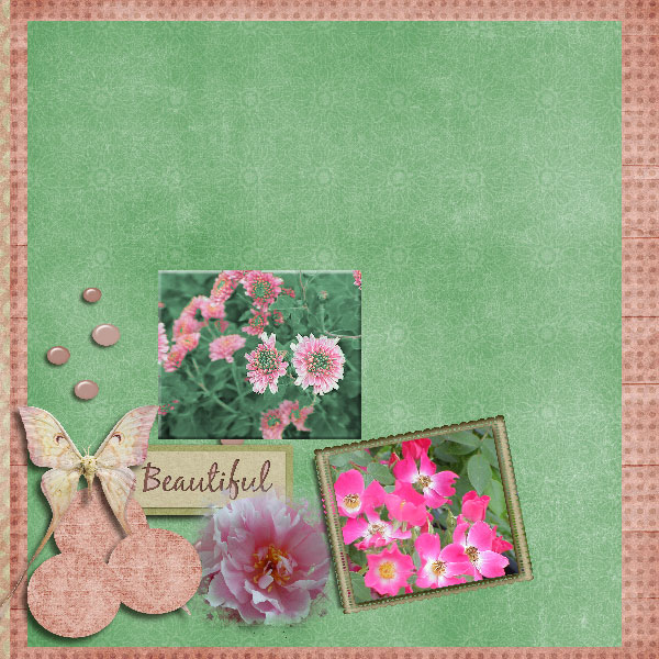pink flowers