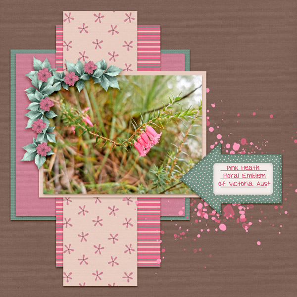Pink Heath