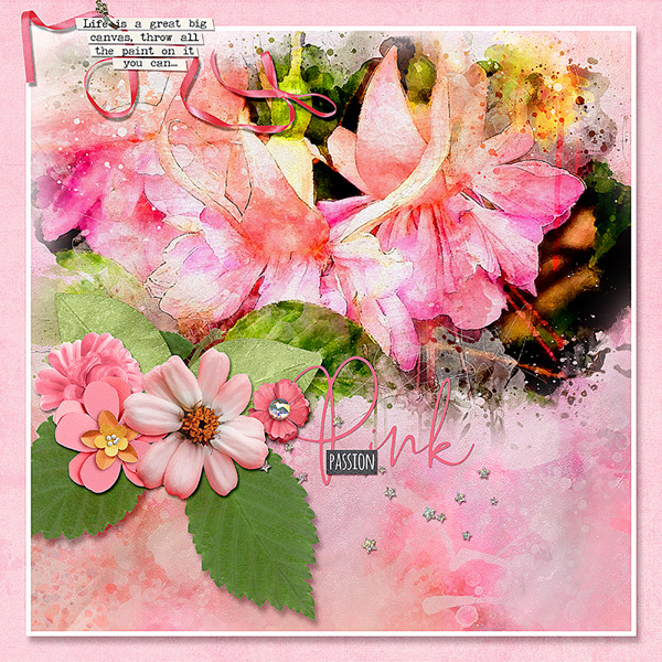 PINK PASSION
