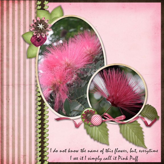 Pink Puff
