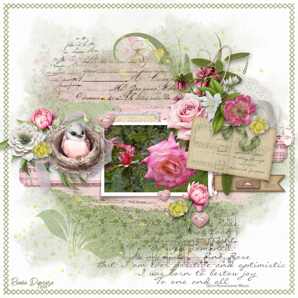 Pink Rose