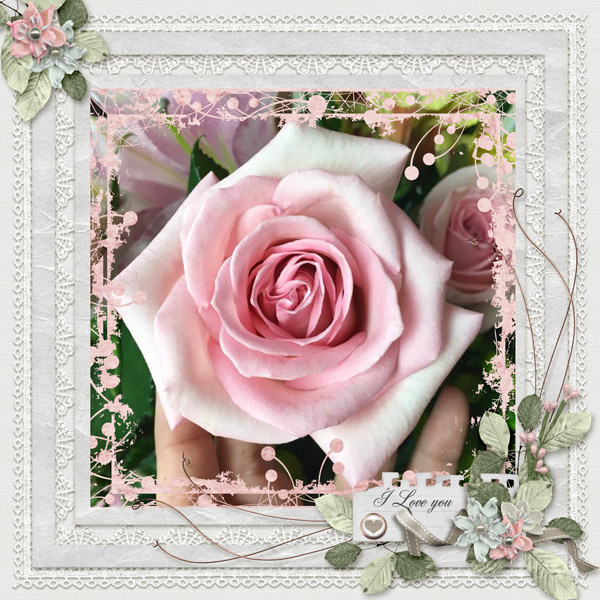 Pink Roses