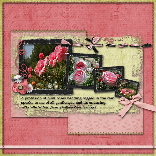 Pink Roses