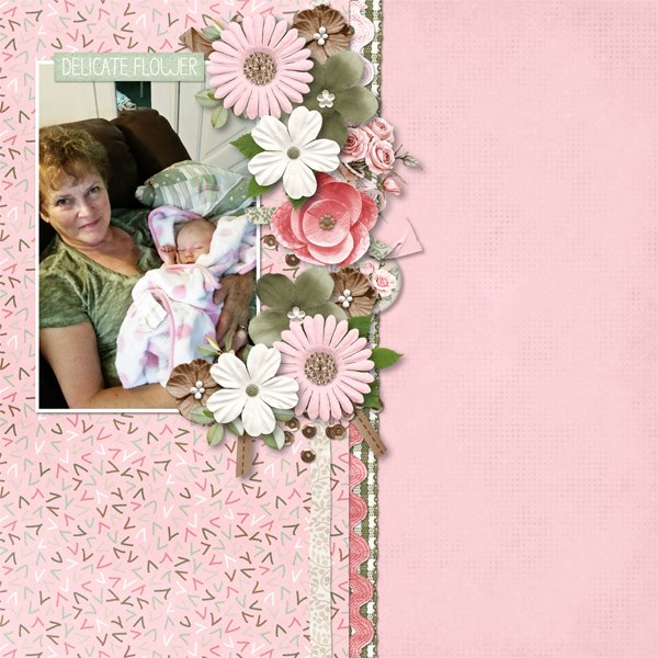 Pink Roses