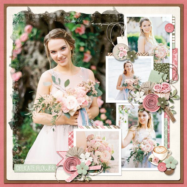 Pink Roses