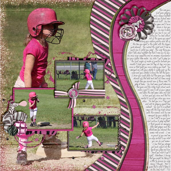 Pink Zebras 2