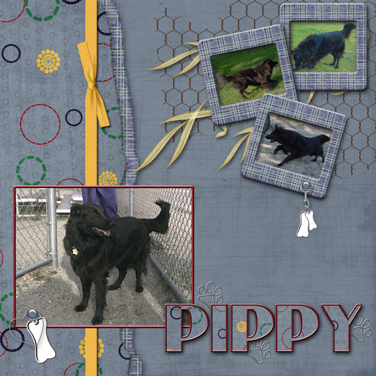 Pip