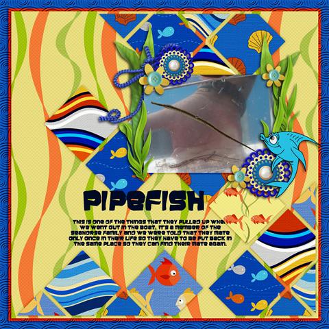 Pipefish