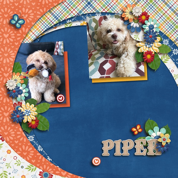 Piper July 19'