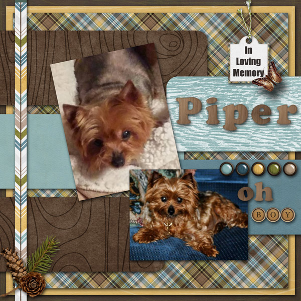 Piper