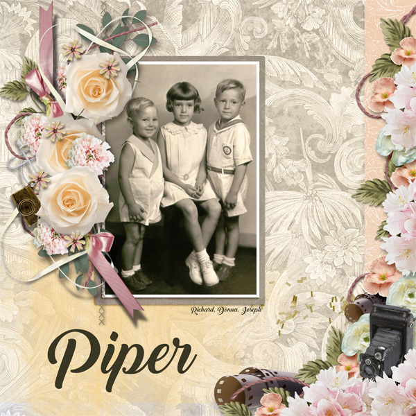 Piper