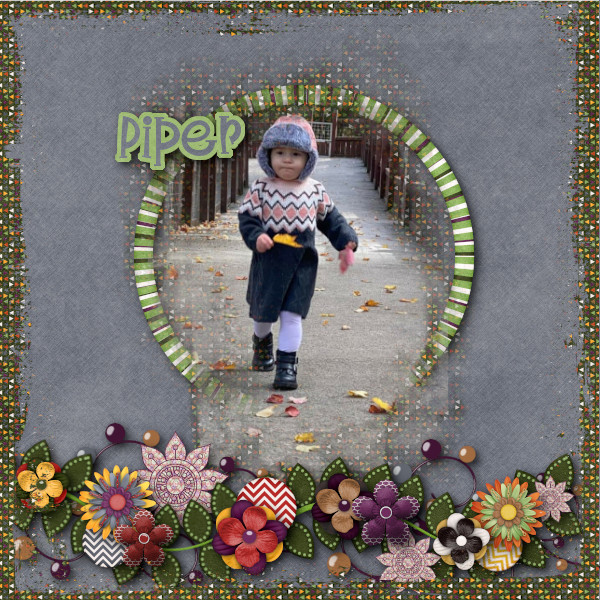 Piper