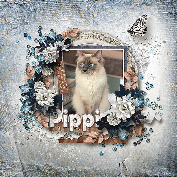 Pippi