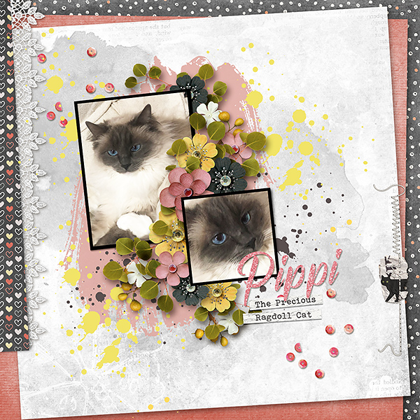 Pippi
