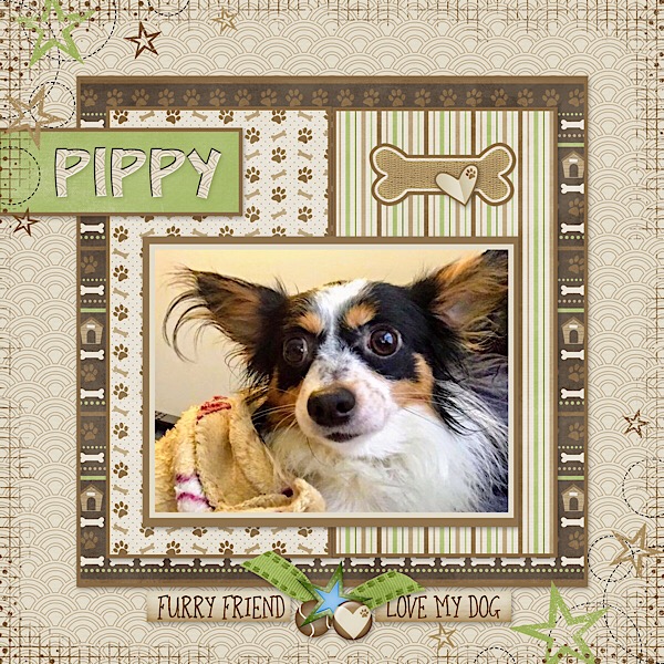 Pippy
