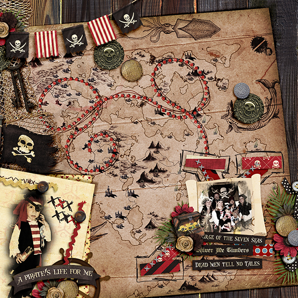 Pirate Party