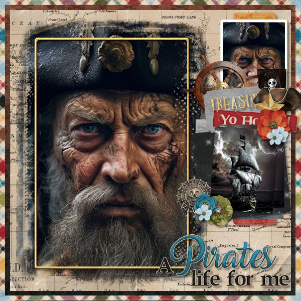 Pirates Life