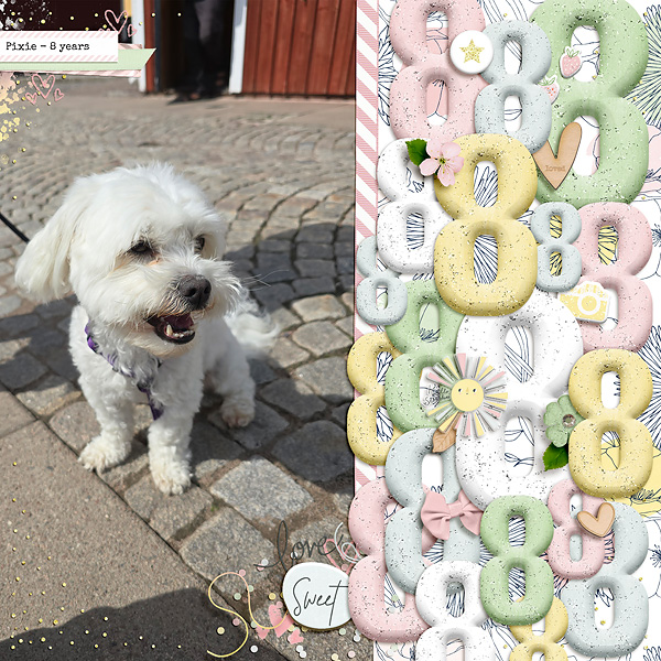 Pixie 8 Years
