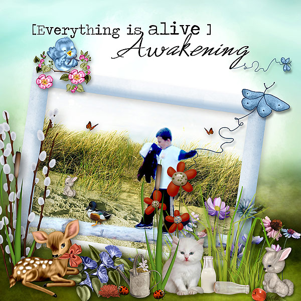 pjk-Awakening