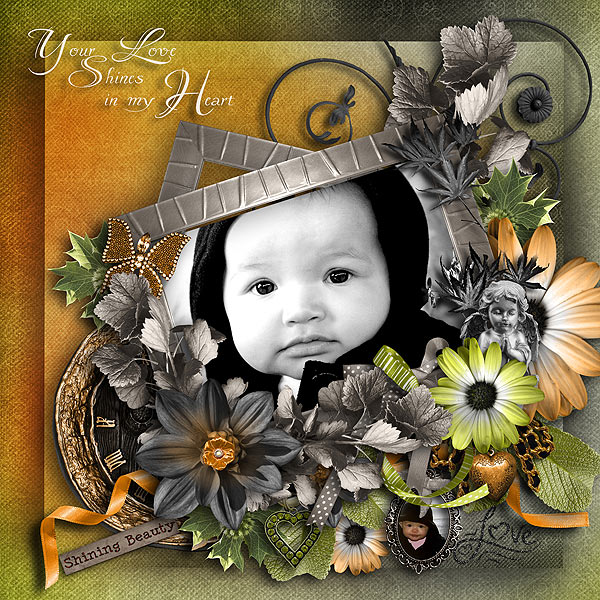 pjk-Shining Beauty