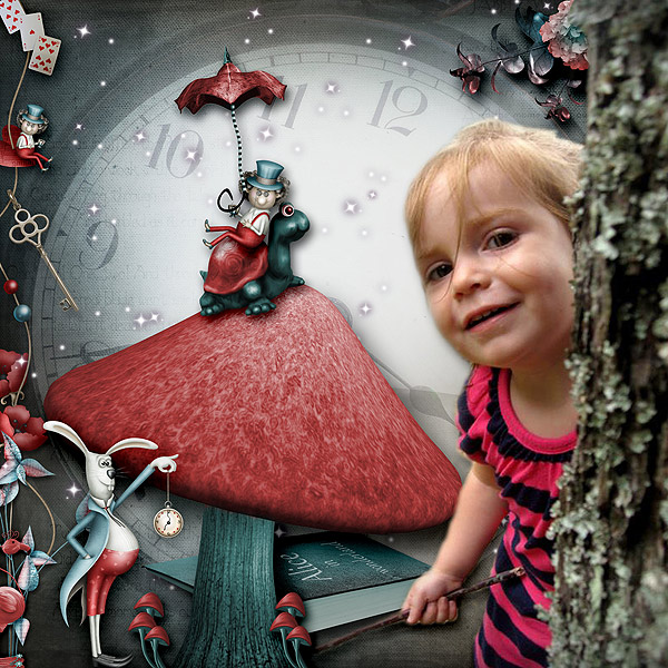 pjk-The Wonderland Again