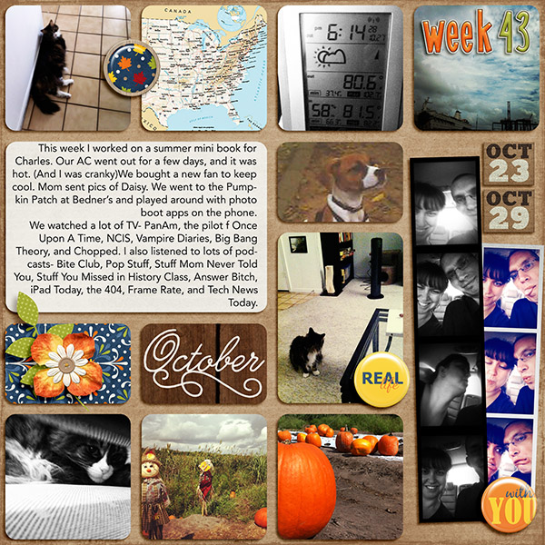 PL 2011 Week 43