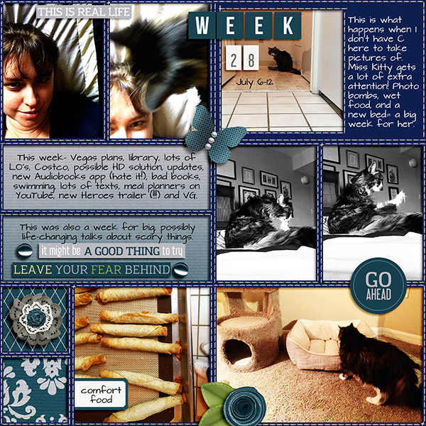 PL2015 Week 28