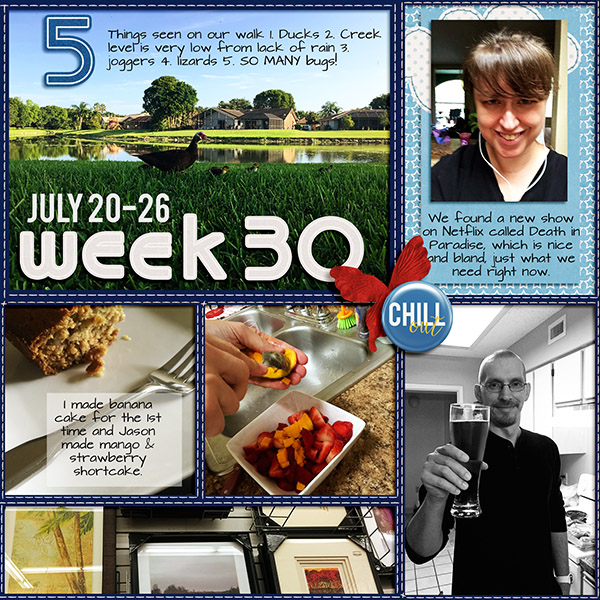 PL2015 Week 30 A