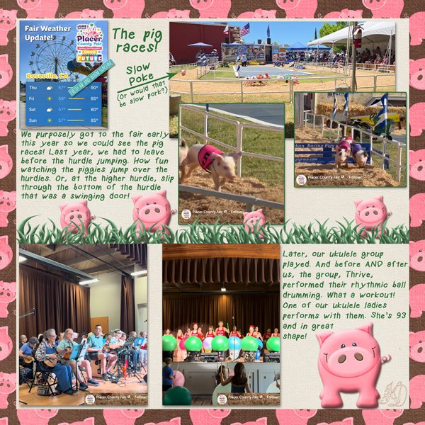 Placer County Fair
