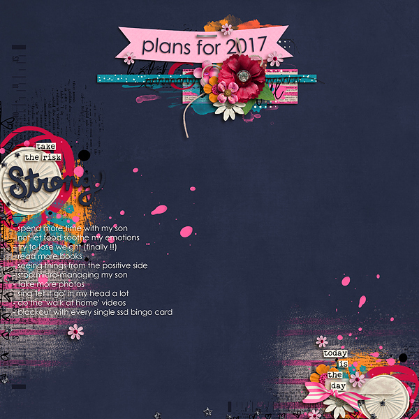 Plans for 2017