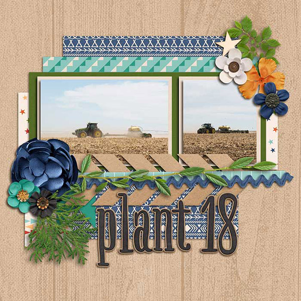 Plant 18 (left)