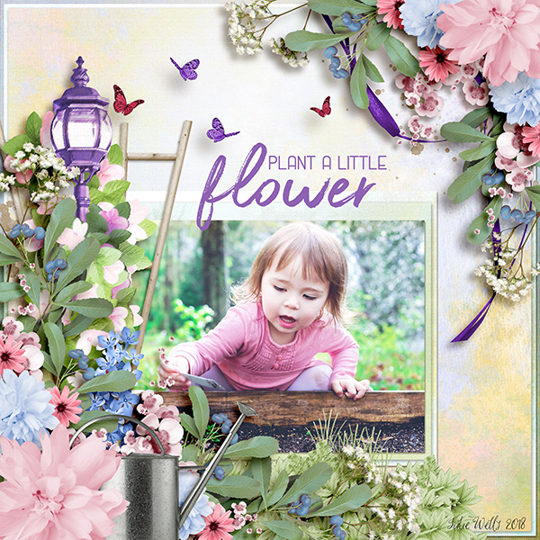 plant a little flower