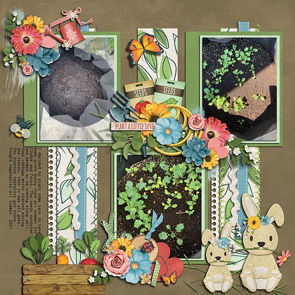 Plant a Little Love