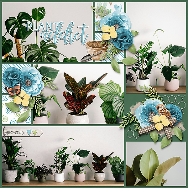 plant addict