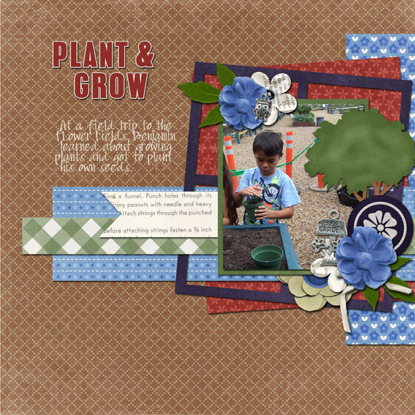 Plant and Grow