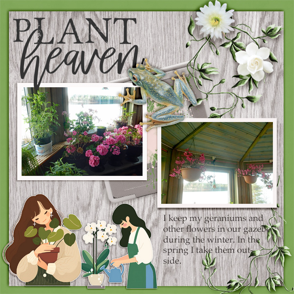 Plant-heaven