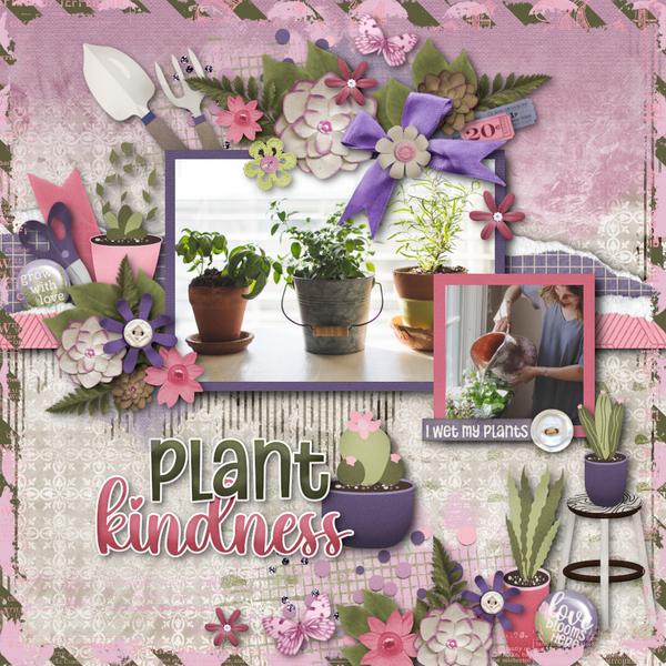 Plant Kindness