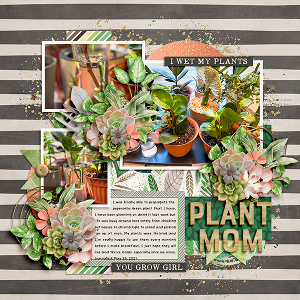 Plant Life