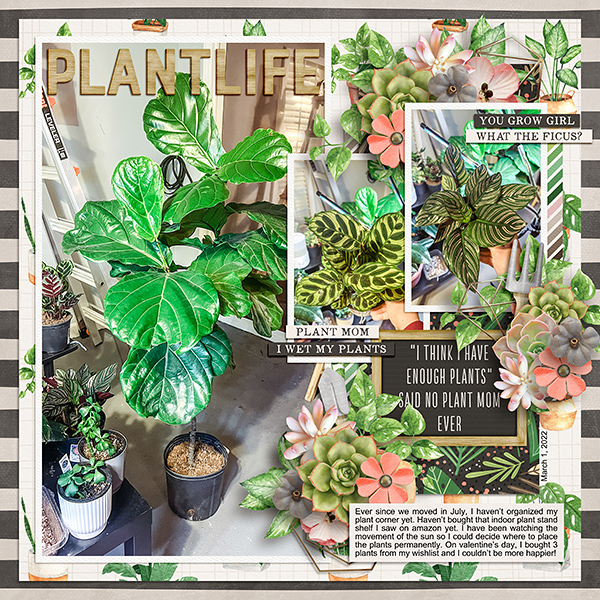 Plant Life