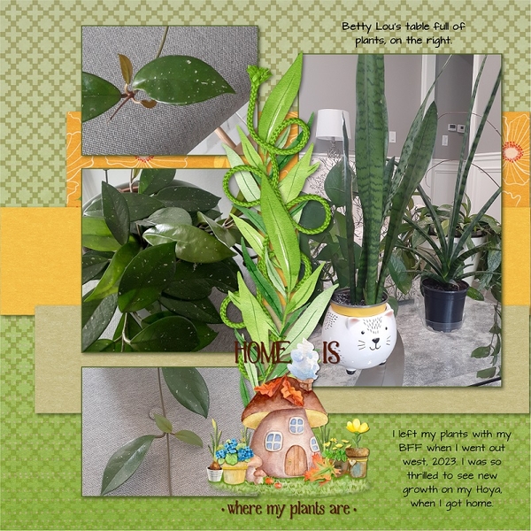 Plant Life