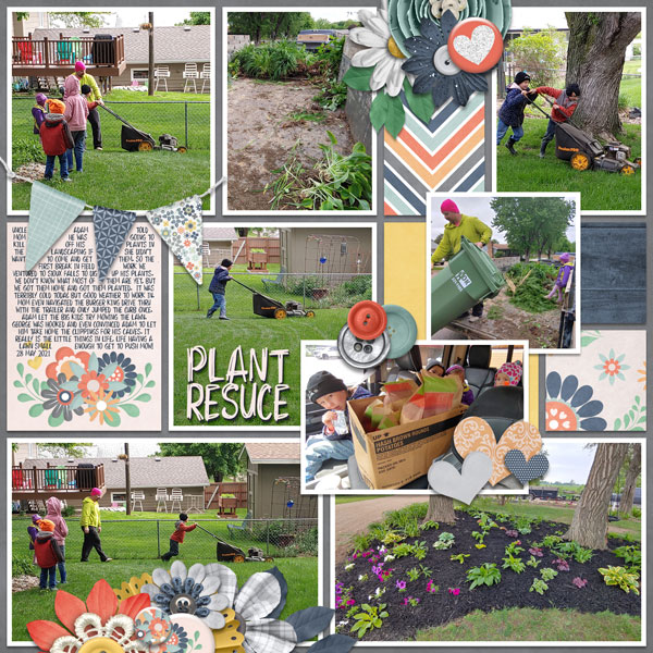 Plant Rescue