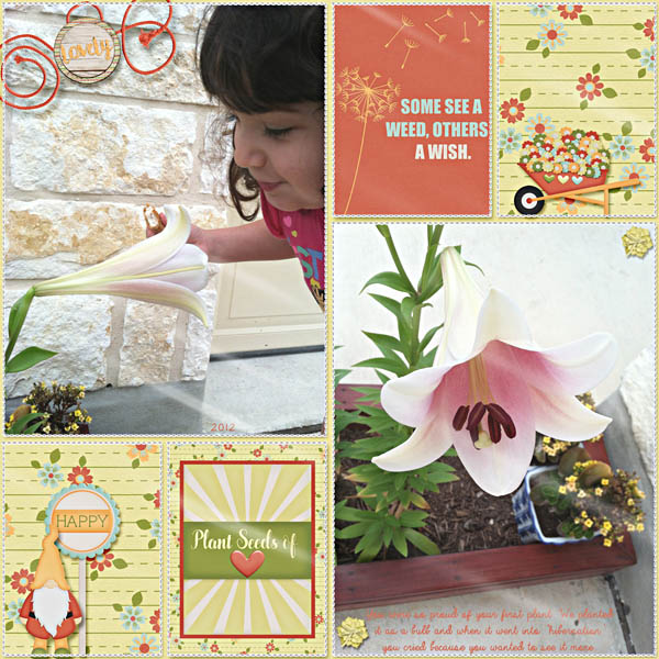 Plant Seeds of Love