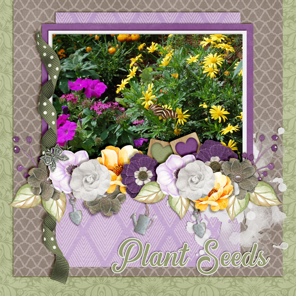 Plant-Seeds