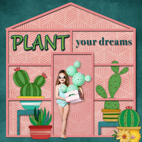 Plant Your Dreams